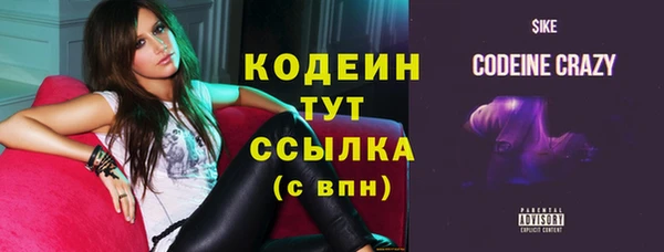 таблы Бородино