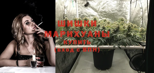 гашиш Богданович