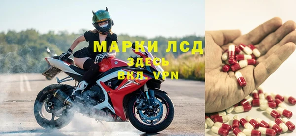 таблы Бородино
